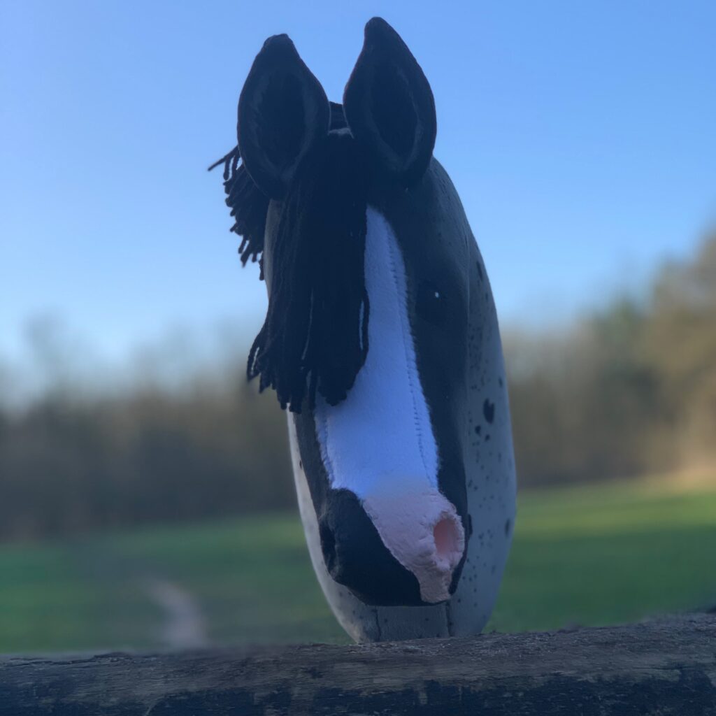 Stokpaard - Blauw roan