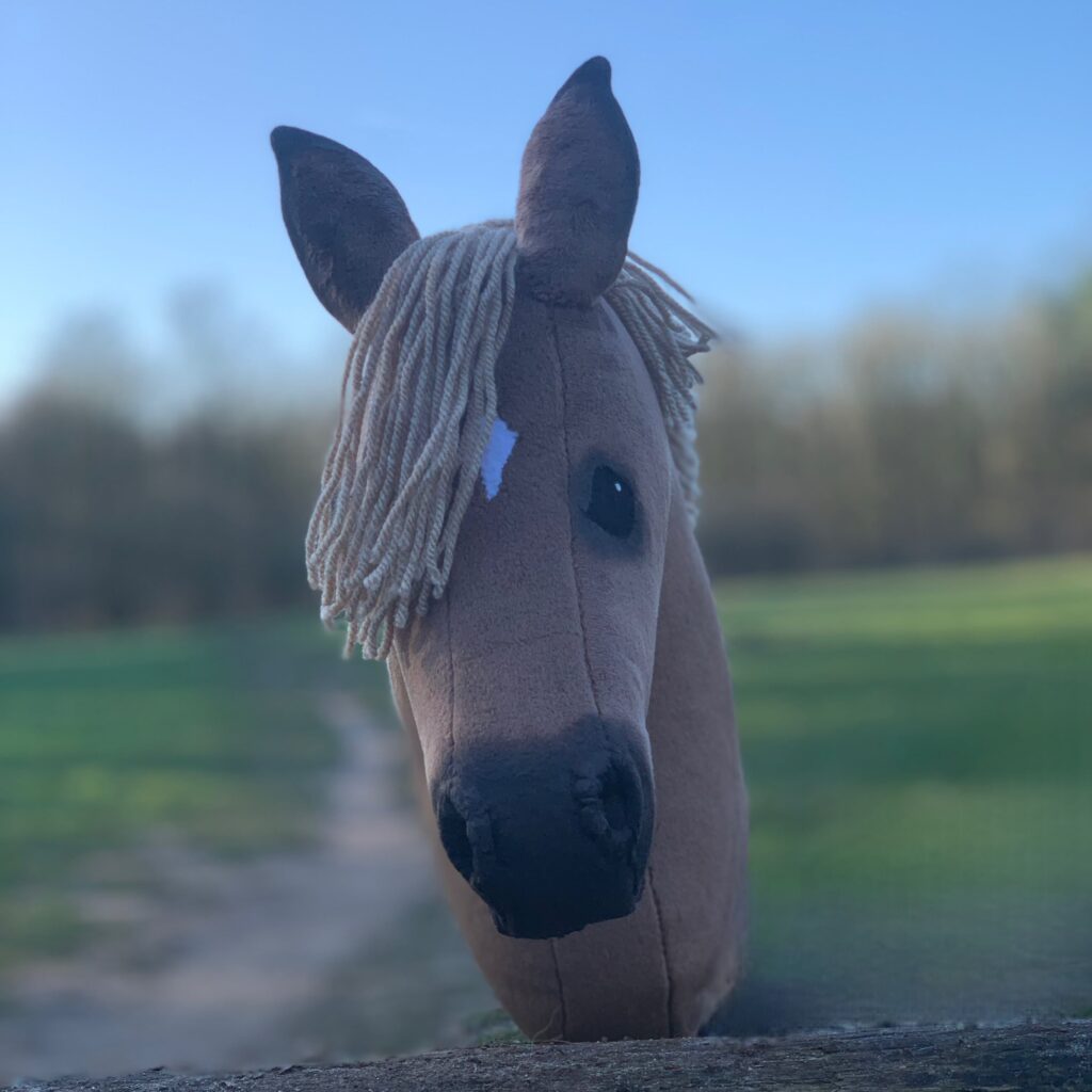 Hobbyhorse - Flaxen chestnut