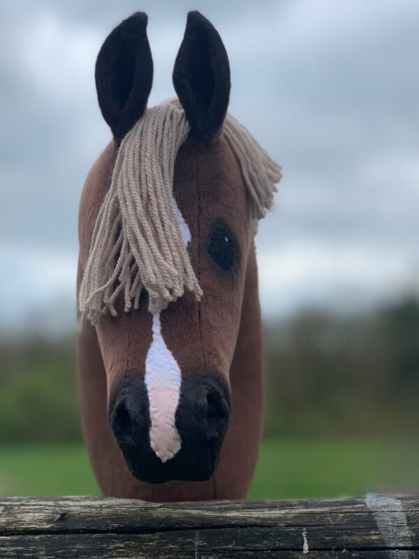 Hobbyhorse - Liver chestnut