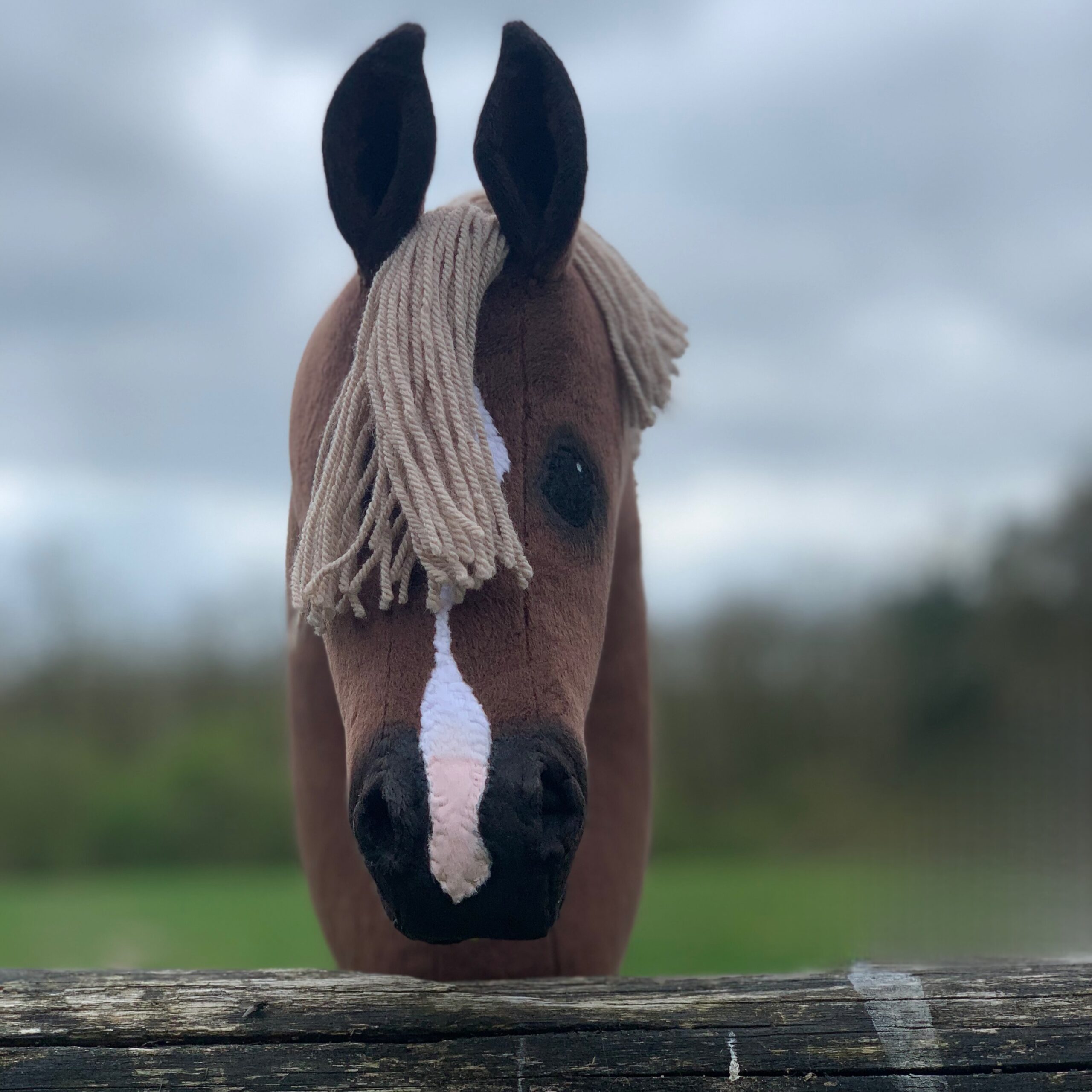 Hobbyhorse - Liver chestnut