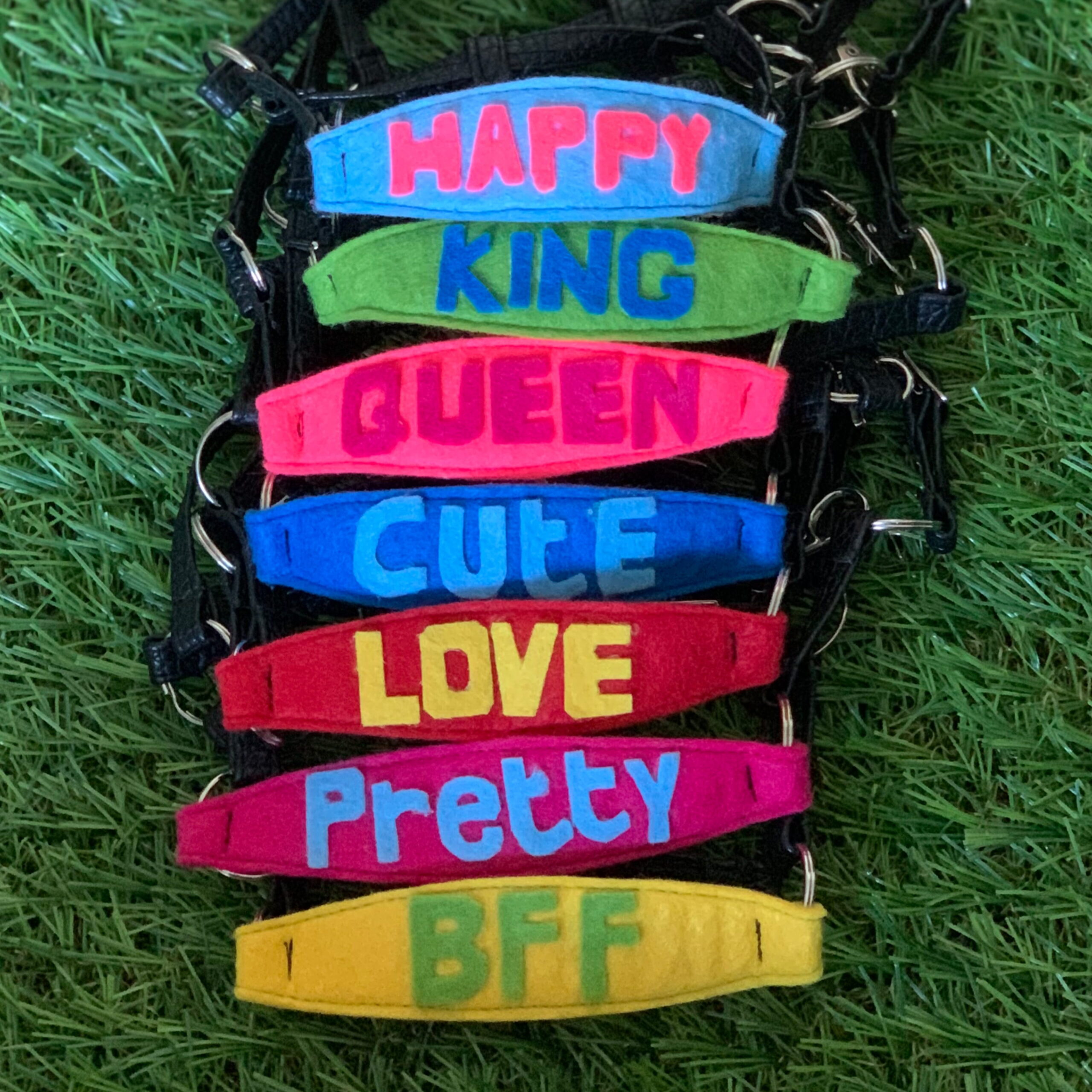 Happy halters - Different colors