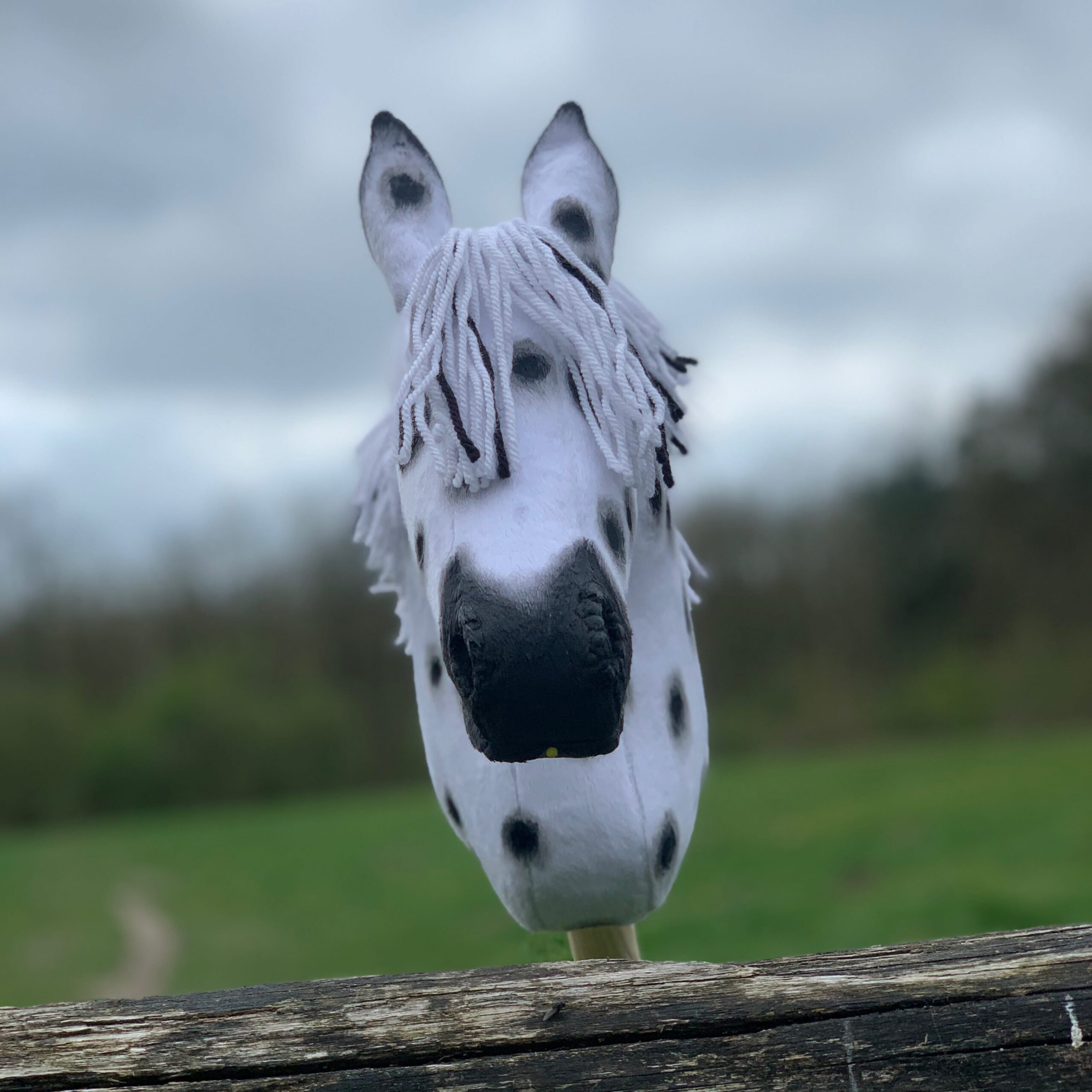 Hobbyhorse - Leopard appaloosa (xxs)