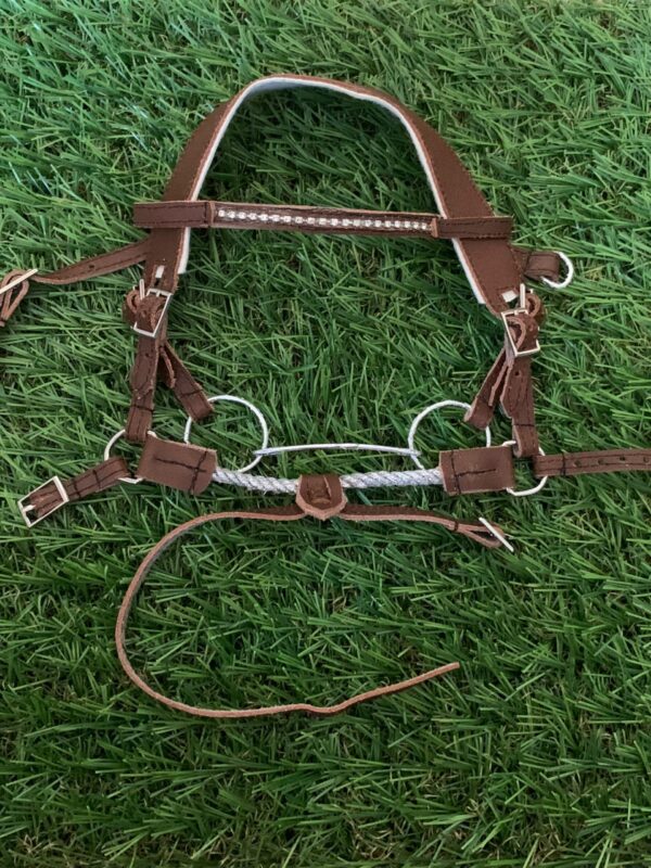 Bride Allround - Marron rustique