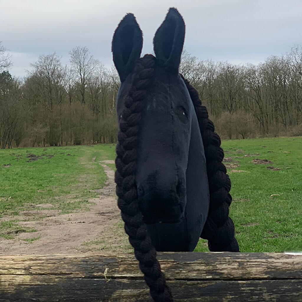 Hobbyhorse - Black friesian (xxs)