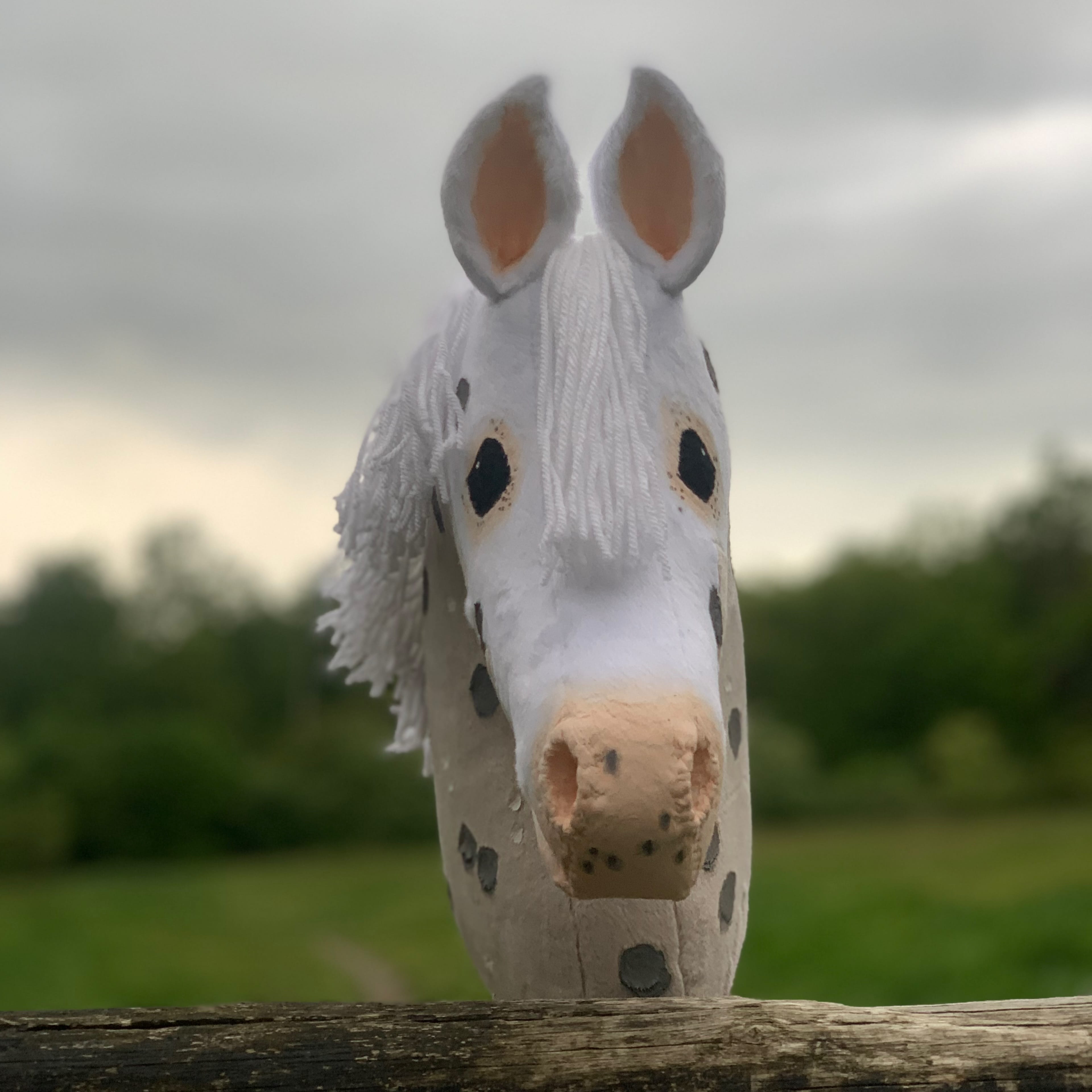 Hobbyhorse - Cream paint x appaloosa