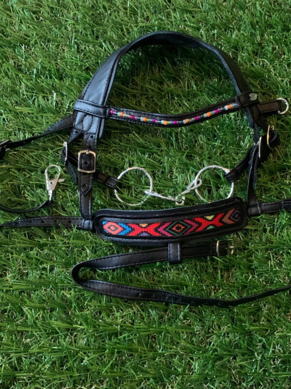 Allround bridle - Multicolour