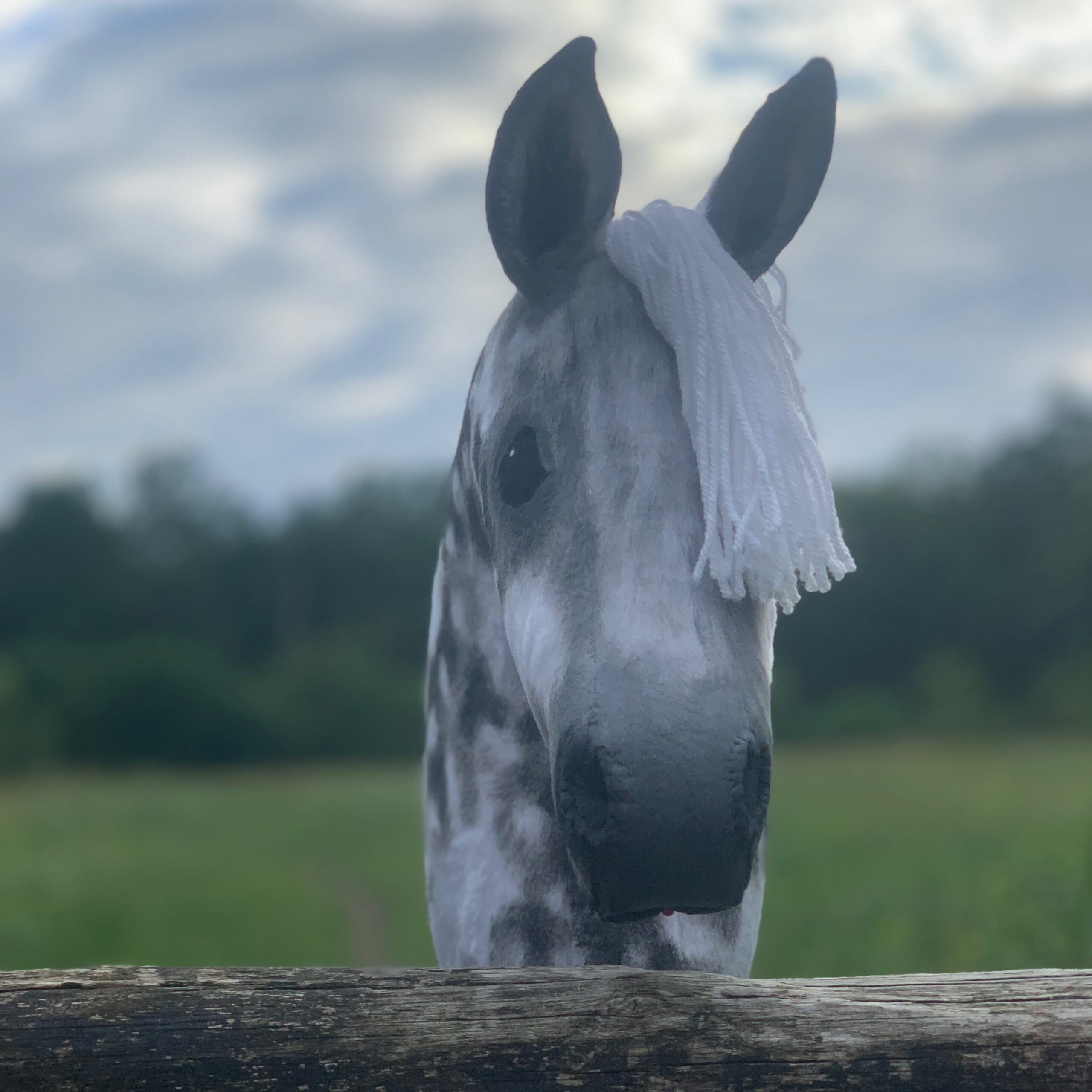 Hobbyhorse - Light dappled grey