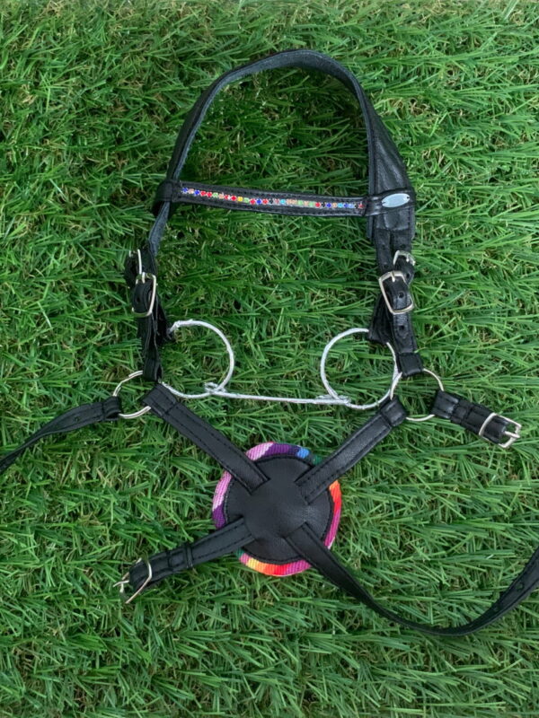 Allround bridle - Mexican bridle rainbow