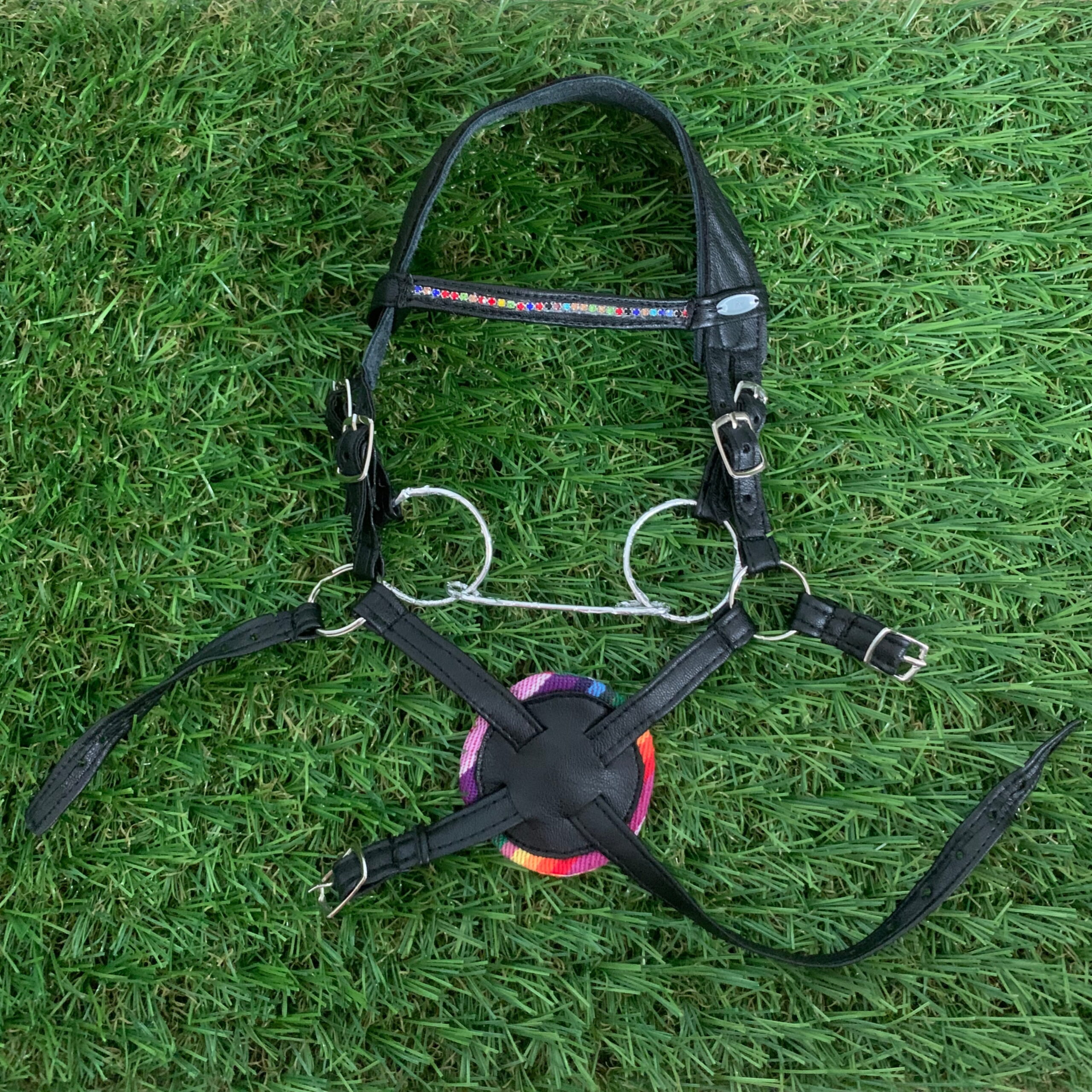 Allround bridle - Mexican bridle rainbow
