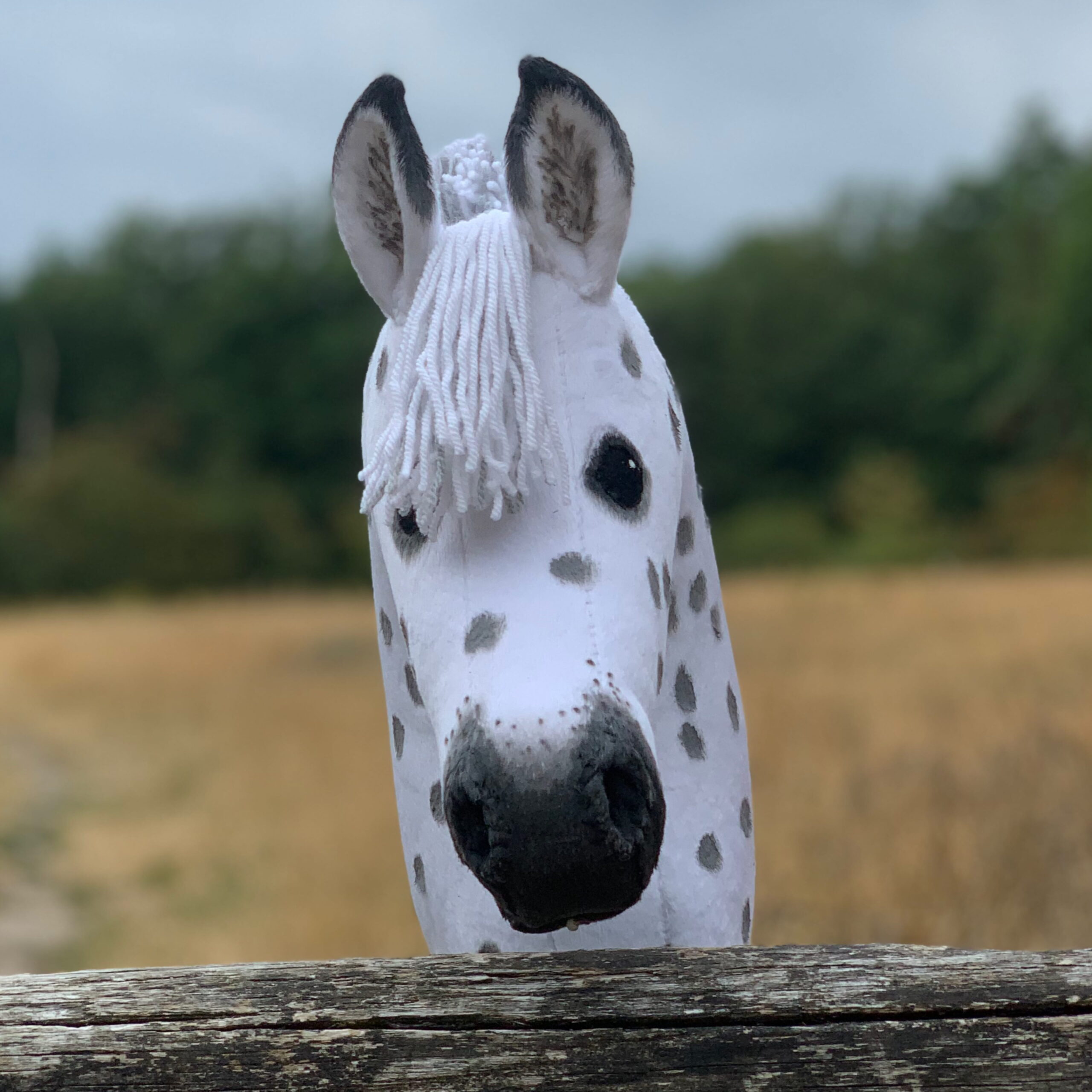 Hobbyhorse - Grey appaloosa