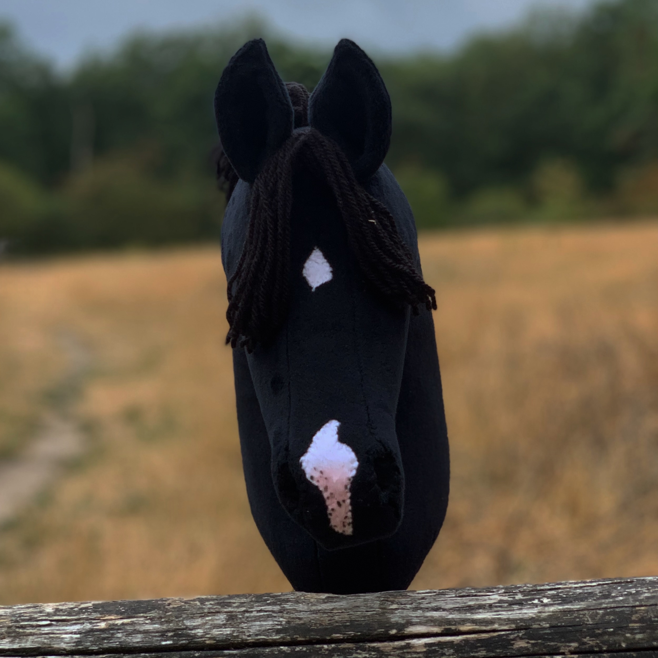 Hobbyhorse - Black