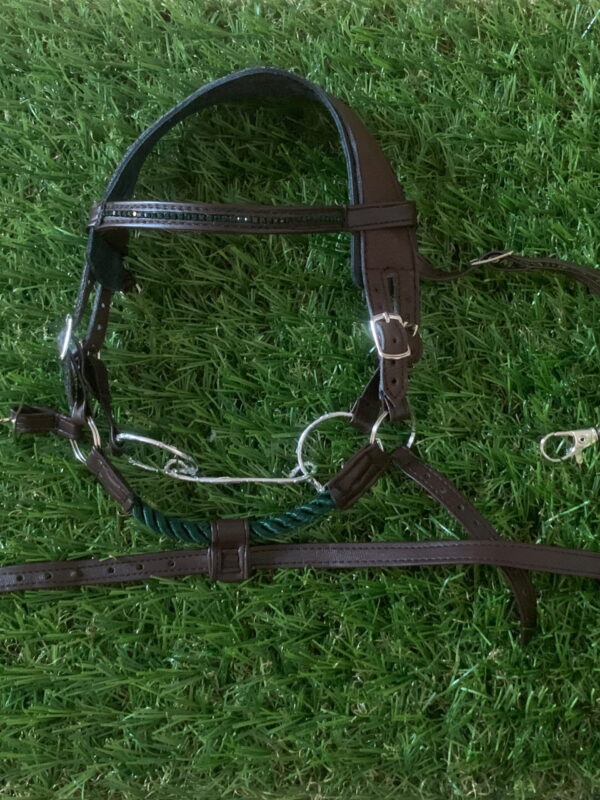 Allround bridle - Hunter green